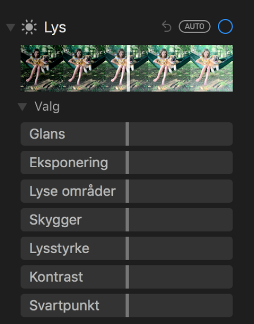 Lys-området i Juster-panelet som viser skyveknapper for Glans, Eksponering, Lyse områder, Skygger, Lysstyrke, Kontrast og Svartpunkt.