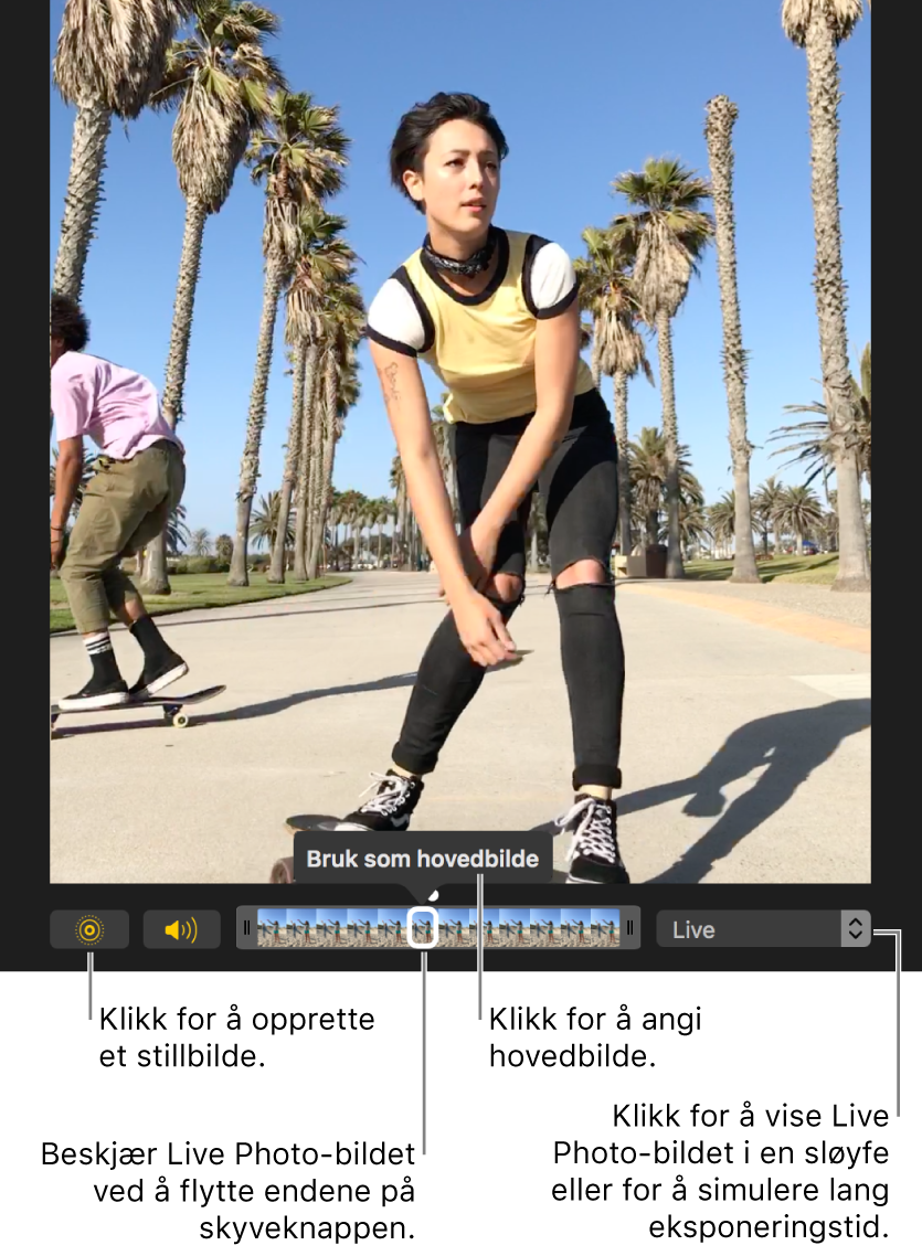 Et Live Photo-bilde i redigeringsvisning med en skyveknapp under som viser bildene i bildet. Live Photo-knappen og Høyttaler-knappen er til venstre for skyveknappen, og til høyre er det en lokalmeny du kan bruke til å legge til en sløyfe-, fram og tilbake- eller lang eksponering-effekt.