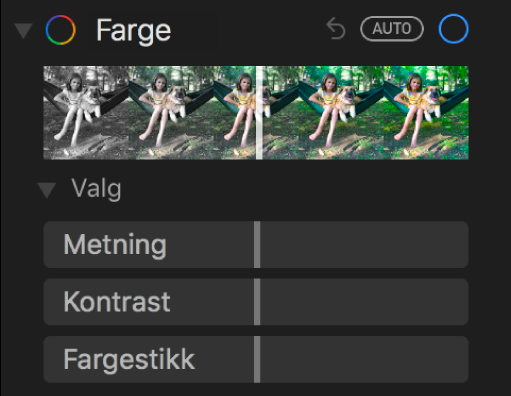 Farge-området i Juster-panelet som viser skyveknapper for Metning, Kontrast og Fargestikk.