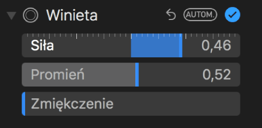 Narzędzia winiety w panelu Dostosuj.