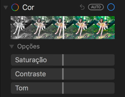 A área Cor do painel Ajustar, com os niveladores de Saturação, Contraste e Tom.
