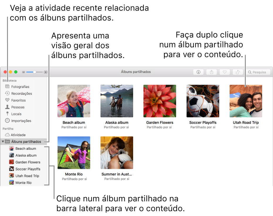 O painel Partilha da janela de Fotografias a mostrar os álbuns partilhados.