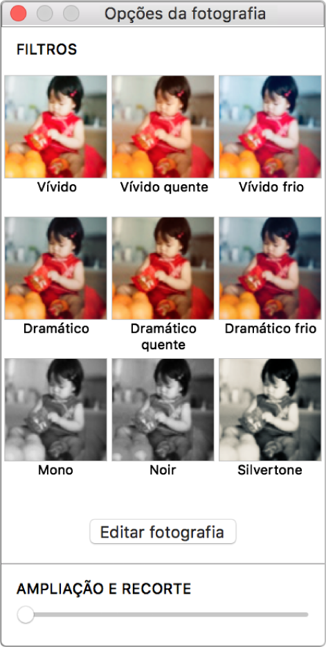 Janela "Opções da fotografia" com as opções de borda na parte superior