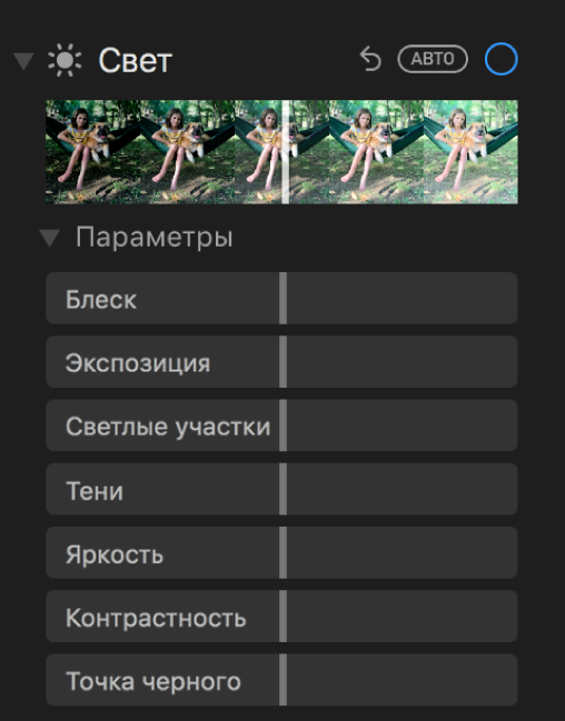 Область «Свет» панели «Коррекция» с бегунками «Осветление», «Экспозиция», «Светлые участки», «Тени», «Яркость», «Контрастность» и «Точка черного».