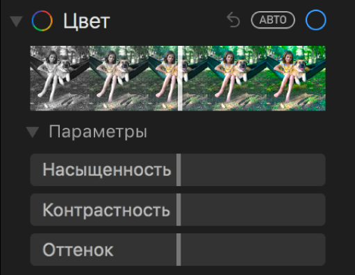 Область «Цвет» панели «Коррекция» с бегунками «Насыщенность», «Контрастность» и «Оттенок».