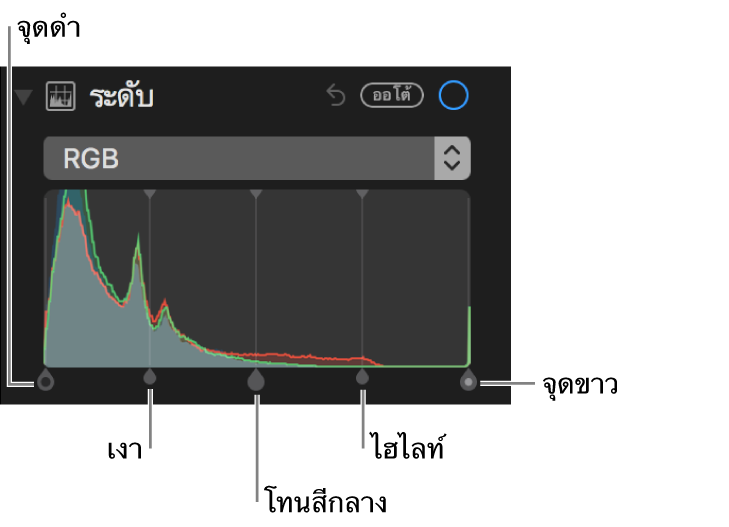 ตัวควบคุมระดับตามฮิสโตแกรม RGB ซึ่งรวมถึง (จากซ้ายไปขวา) จุดดำ เงา โทนสีกลาง ไฮไลท์ และจุดขาว