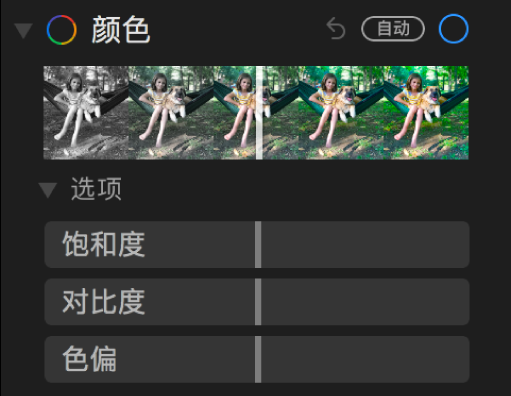 “调整”面板的“颜色”区域显示“饱和度”、“对比度”和“色偏”滑块。