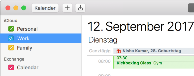 Ein Kalenderfenster in der Tagesansicht mit farbcodierten Privat-, Berufs- und Familienkalendern in der Seitenleiste unter der iCloud-Accountüberschrift und ein weiterer Kalender unter der Exchange-Accountüberschrift