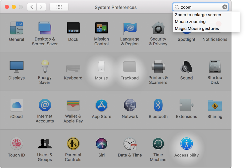 System preferences window showing “zoom” in the search field, a list of matching search results below the search field, and three preference icons highlighted.