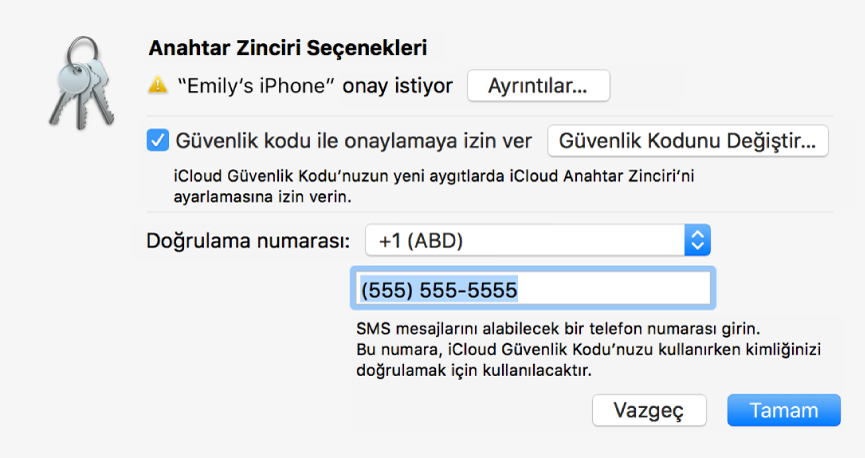 Onay isteyen aygıtın adı ve yanında Ayrıntılar düğmesi ile iCloud Anahtar Zinciri Seçenekleri sorgu kutusu.