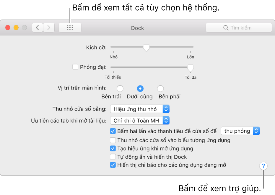 Bấm Hiển thị tất cả để xem tất cả biểu tượng tùy chọn. Bấm nút Dấu Chấm hỏi để xem trợ giúp cho khung.