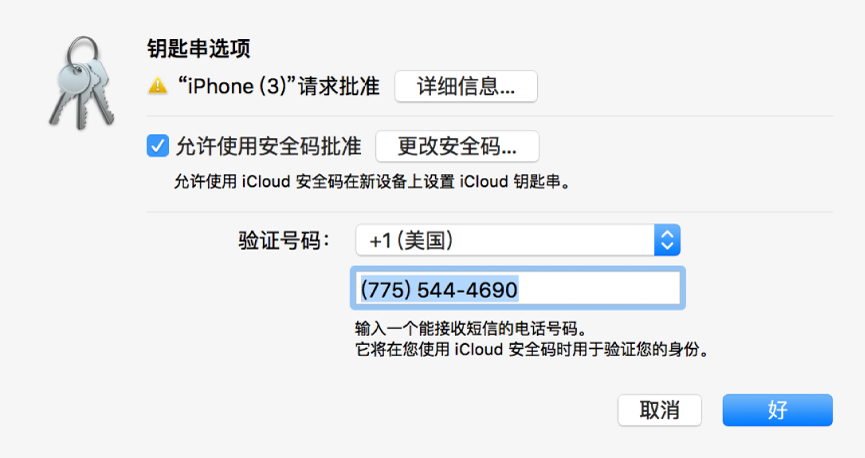 含请求批准的设备的名称及其旁边的“详细信息”按钮的“iCloud 钥匙串选项”对话框。