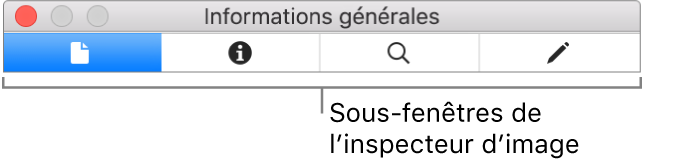 Sous-fenêtres de l’inspecteur d’images.