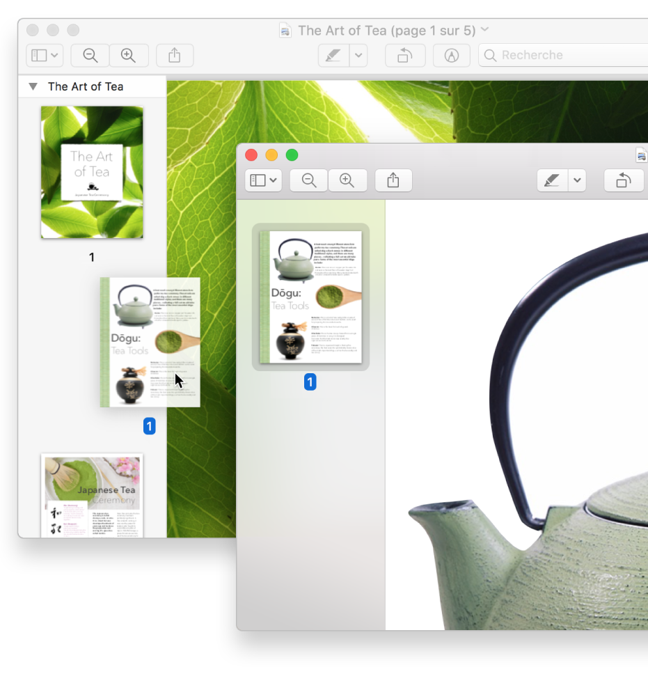 Une vignette de page d’un fichier PDF déplacée vers la barre latérale d’un autre.
