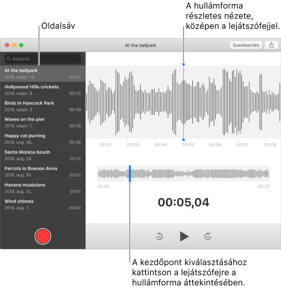 A Hangjegyzetek alkalmazásban a bal oldalon látható az oldalsáv. A felvétel az oldalsávtól jobbra található ablakban látható hullámformaként, középen egy kék lejátszófejjel. Alatta látható a hullámforma áttekintése. A kezdőpozíció kiválasztásához kattintson a lejátszófejre az áttekintésben.