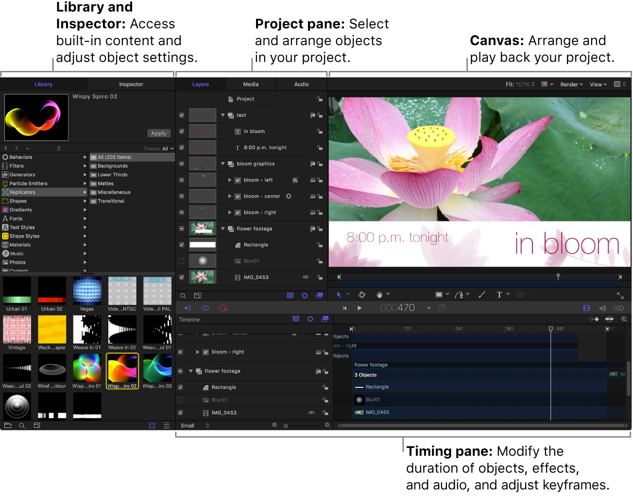 Motion window showing the Library, Project pane, canvas, Timing pane, and toolbar