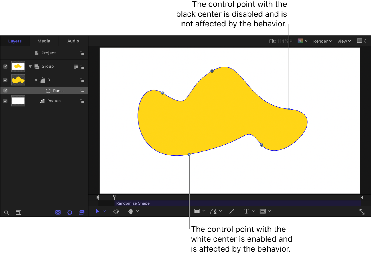 Canvas showing shape with Randomize Shape behavior applied