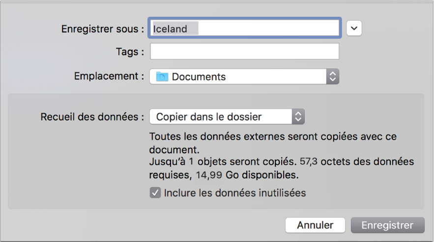 Zone de dialogue d’enregistrement affichant les options du menu local Recueil des données