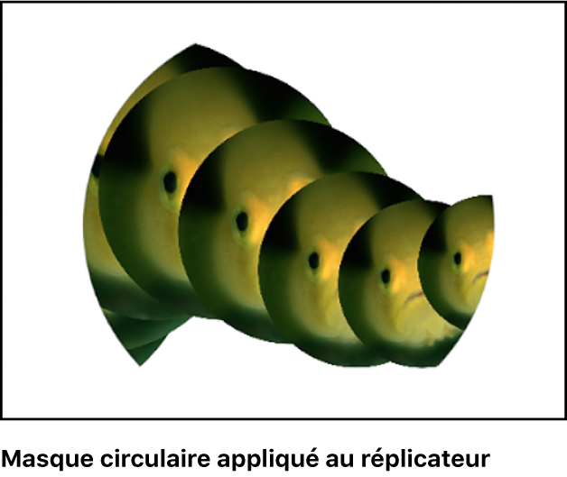 Canevas affichant un réplicateur auquel un masque est appliqué