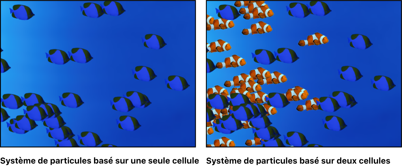 Canevas affichant un système de particules s’appuyant sur une seule cellule, et un autre s’appuyant sur deux cellules