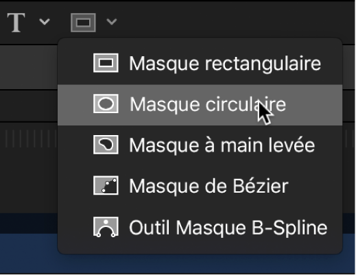 Sélection de l’outil Masque circulaire dans les outils de forme de masque de la barre d’outils du canevas