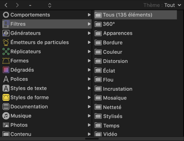 Catégories de filtres dans la bibliothèque