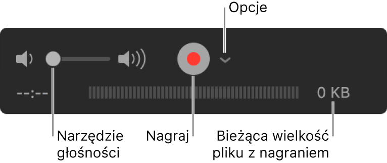 Narzędzia nagrywania, w tym narzędzia głośności, przycisk nagrywania oraz menu podręczne opcji.