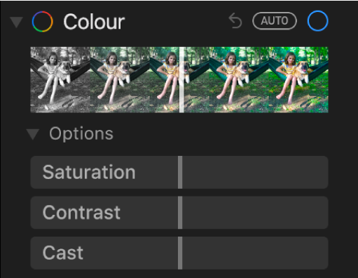 The Colour area of the Adjust pane showing sliders for Saturation, Contrast and Cast.