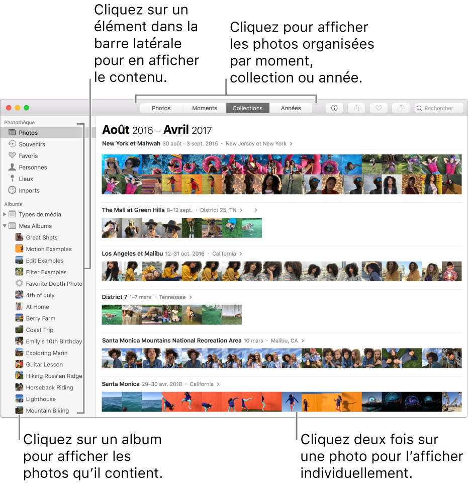 La fenêtre Photos présentant des photos organisées par collection.