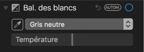 Les commandes de balance des blancs dans la sous-fenêtre Ajuster.