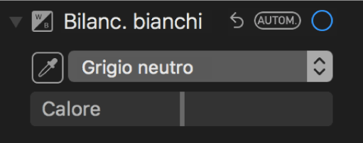 I controlli di “Bilanciamento bianchi” nel pannello Regola.