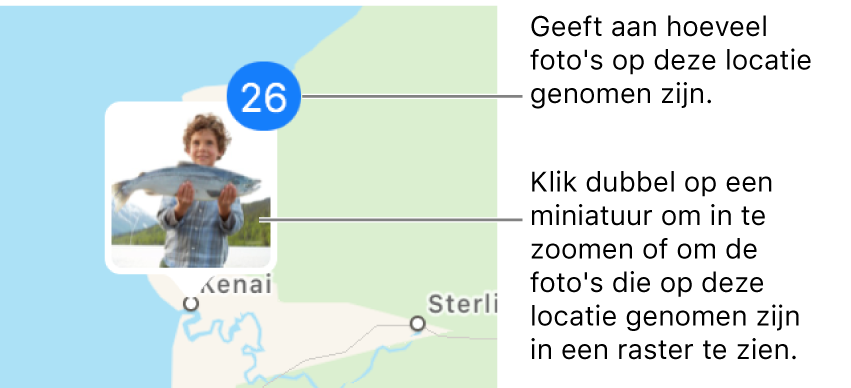 Miniaturen van foto's op een kaart.