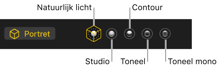 Portretbelichtingseffecten.