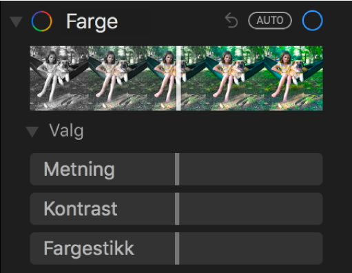 Farge-området i Juster-panelet som viser skyveknapper for Metning, Kontrast og Fargestikk.