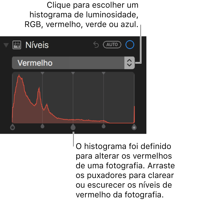 Os controlos de níveis e histograma para alterar os tons vermelhos numa fotografia.