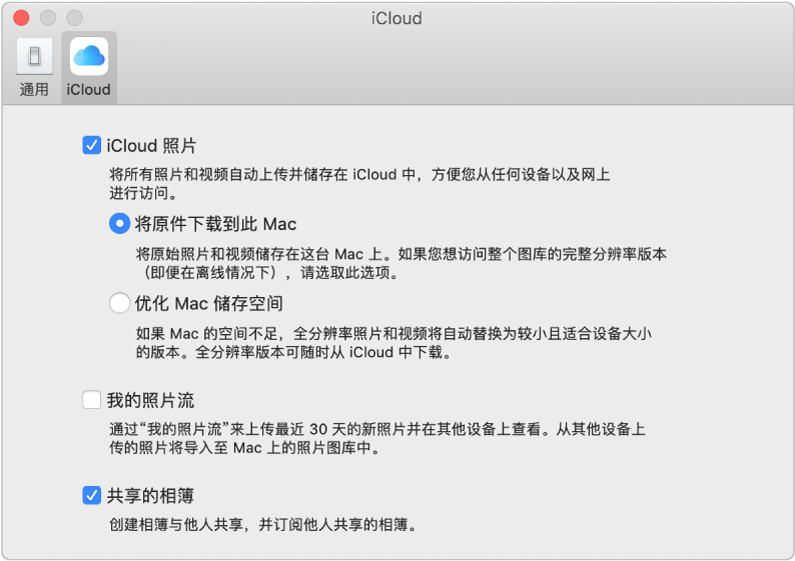 “照片”偏好设置的 iCloud 面板。