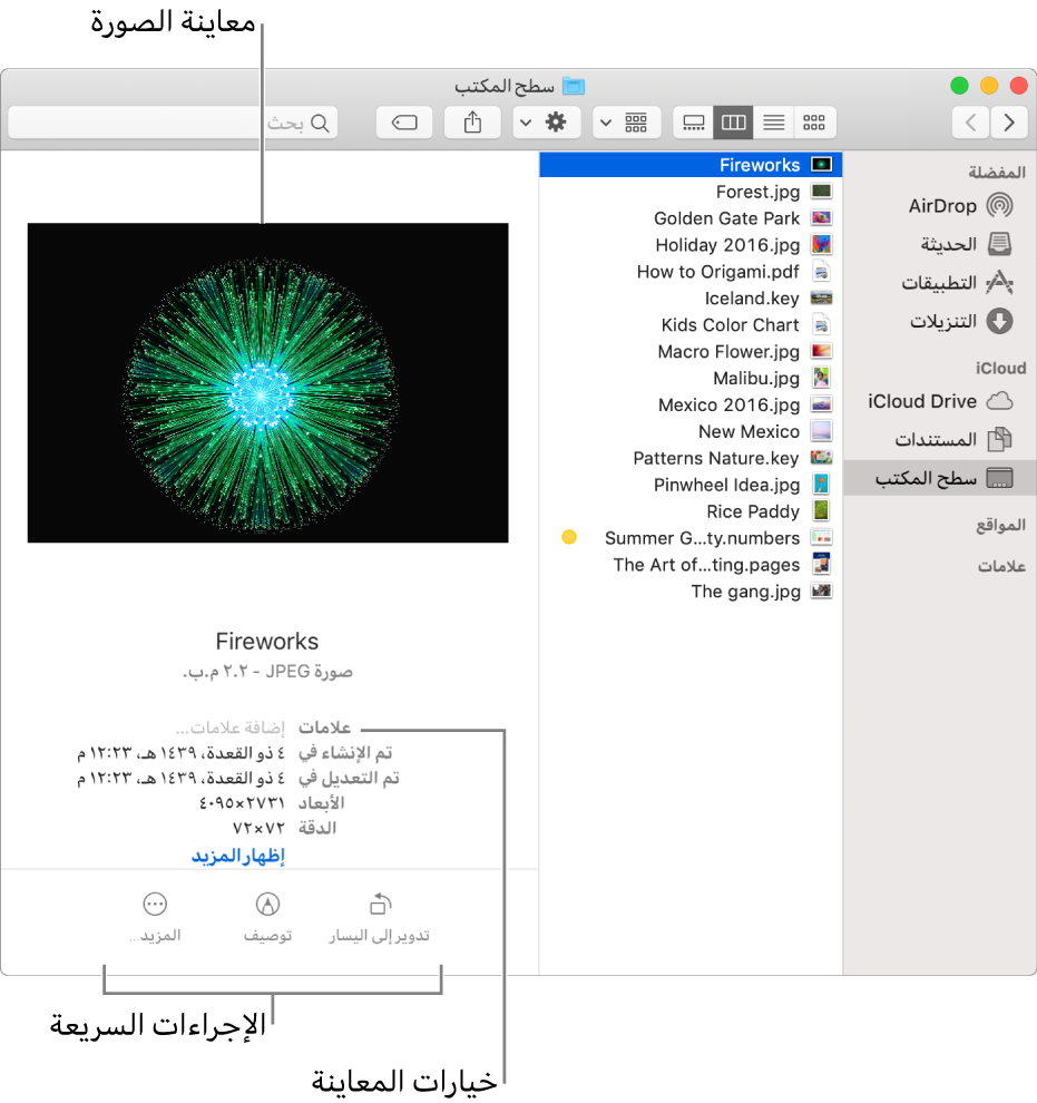 نافذة Finder تعرض الشريط الجانبي لـ Finder على اليمين وصورة تم تحديدها في الجزء الأوسط من النافذة. على اليسار، يعرض جزء المعاينة كيف تبدو الصورة في الجزء العلوي من الجزء، وتفاصيل الصورة أدناه، وأزرار الإجراءات السريعة في الجزء السفلي.