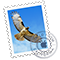 Mail icon