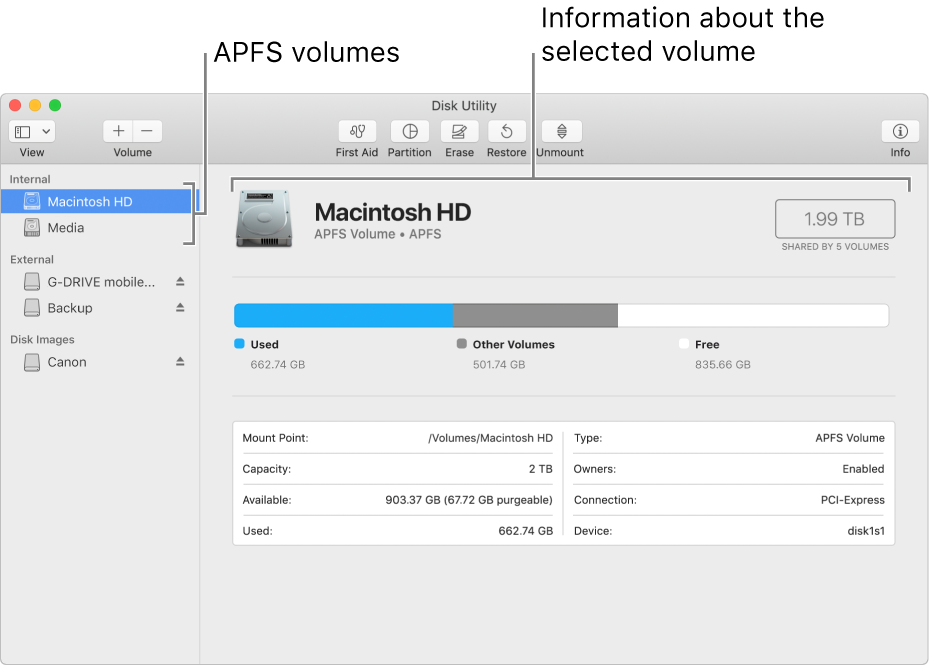 An APFS volume selected in the sidebar, showing volume information.