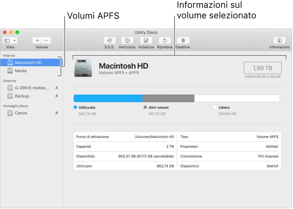 Volume APFS selezionato nella barra laterale, con informazioni sul volume.