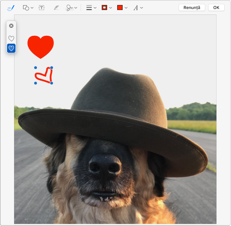 O imagine cu o inimă desenată pe ea utilizând instrumentele de Marcaj.