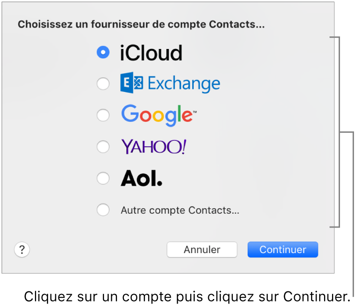 Fenêtre permettant d’ajouter des comptes Internet à l’app Contacts.