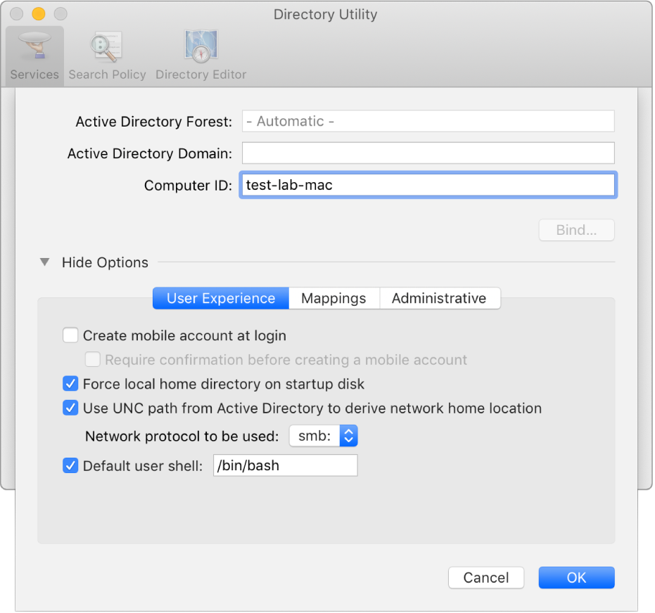 The Active Directory configuration dialog with the options section expanded.