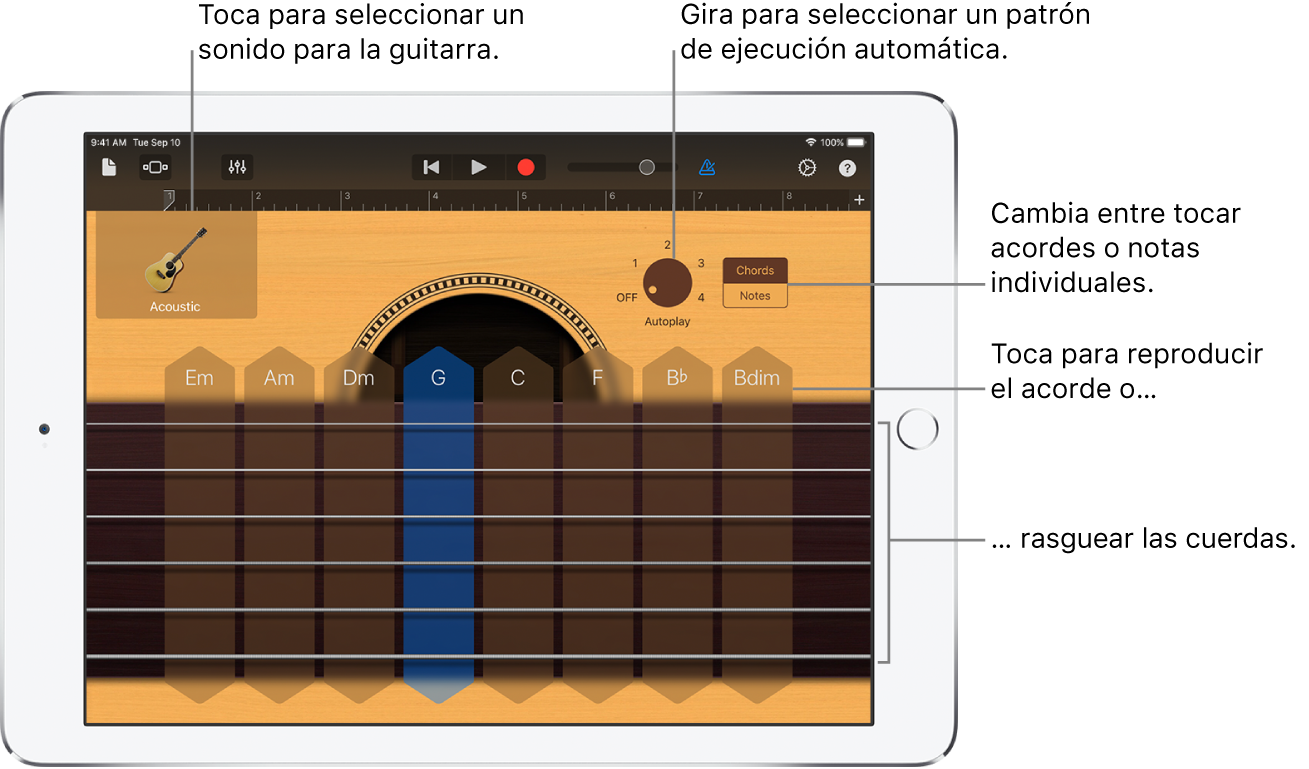 Instrumento táctil Guitarra