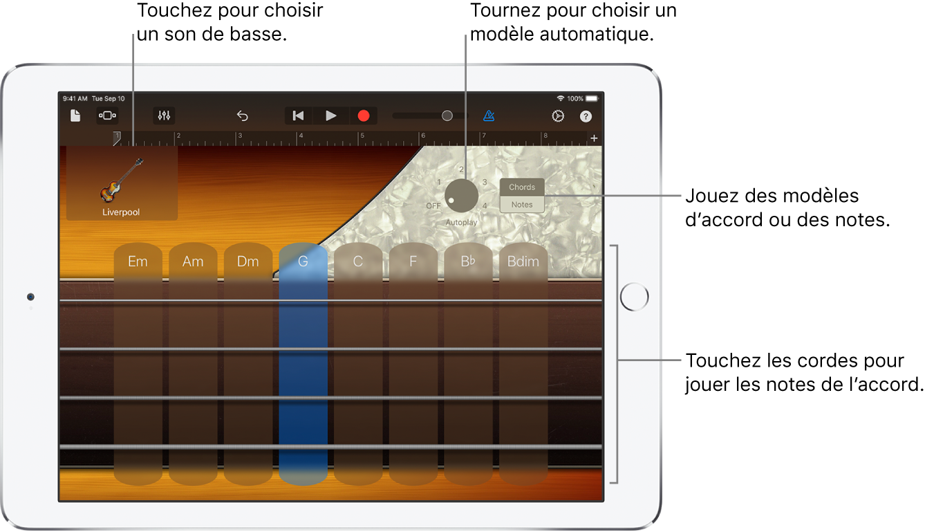 Instrument tactile Basse