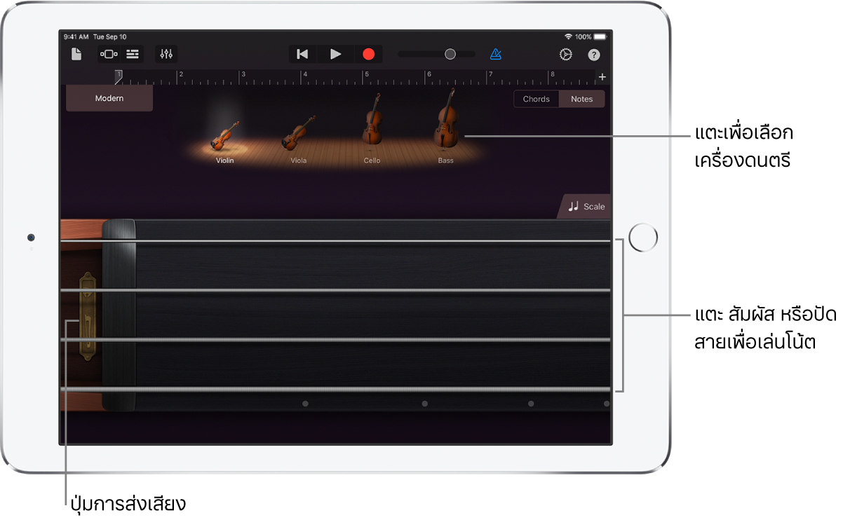 มุมมองโน้ตบนเครื่องดนตรีสัมผัสเครื่องสาย