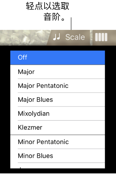 贝司的“音阶”按钮和“音阶”列表