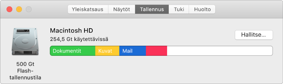 Järjestelmän tietojen Tallennus-osio, jossa näkyy graafinen esitys tallennustilasta.