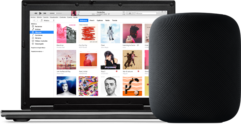 Una PC con iTunes en la pantalla y un HomePod cerca.