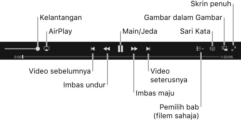 Kawalan video: Kelantangan, AirPlay, Video sebelumnya, Imbas undur, Main/Jeda, Imbas depan, Video seterusnya, Pemilih bab (untuk filem sahaja), Sari Kata, Gambar dalam Gambar dan Skrin penuh.
